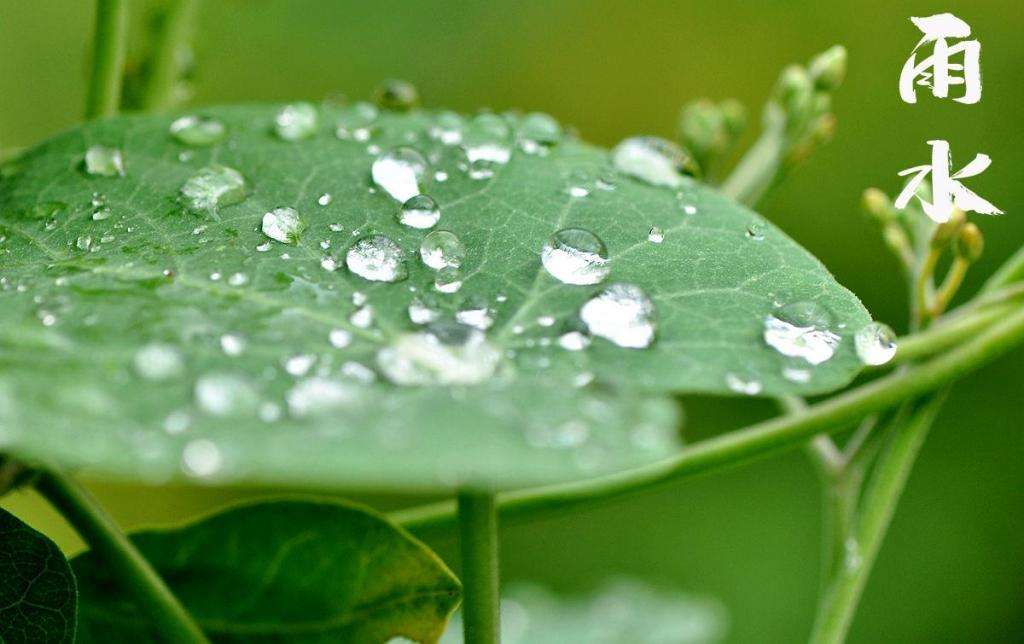 雨水！